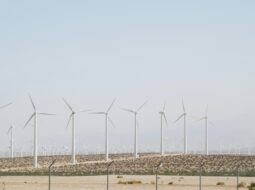 alternative fuels