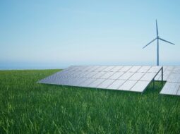 Green Industries